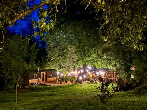a campsite with lights in a yard at night at Domki Wierzchy in Wierzchy