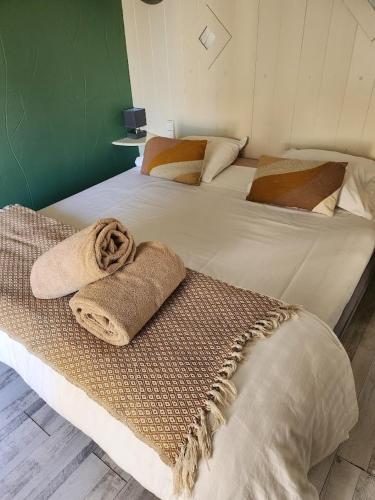 two beds with towels on them in a room at Ariane in Vichy