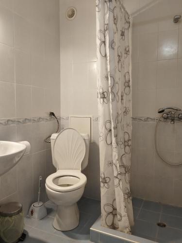 a bathroom with a toilet with a shower curtain at Къща за гости ГАЛАНТ in Byala