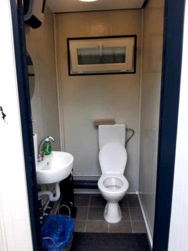 a bathroom with a toilet and a sink at Ferienwohnungen "Weingenuss" für 1 bis zu 10 Personen direkt im Weingut in Sulzfeld am Main