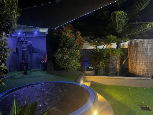 a swimming pool in a garden at night at Mitchell's Guesthouse in Parow