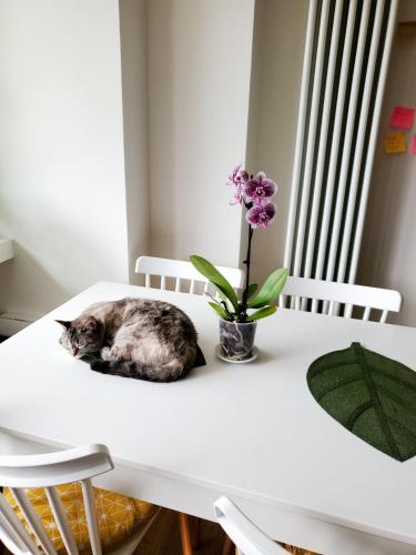 A Happy Home!
