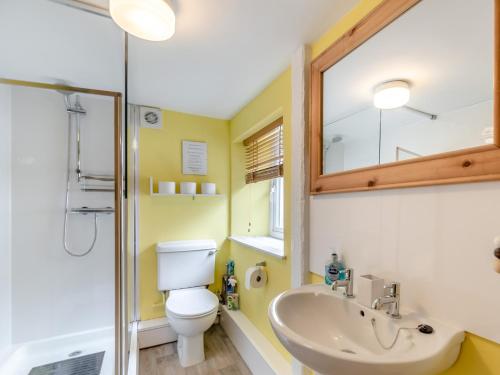 a bathroom with a toilet and a sink and a mirror at 2 Bed in Cosheston FB060 in Cosheston