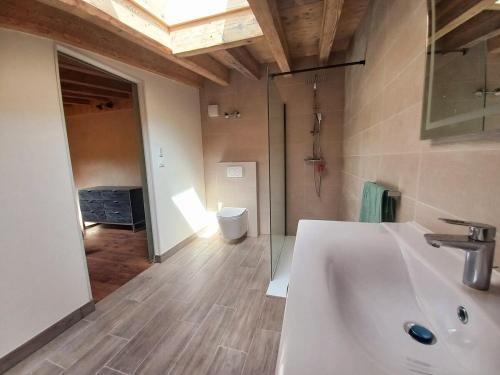 a bathroom with a white sink and a shower at Charmante maisonnette in Pontarlier