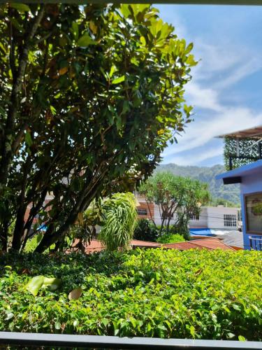 HOTEL EL PAN NUESTROにある庭