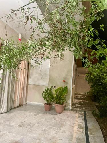 Φωτογραφία από το άλμπουμ του Villa El Habib σε Mahdia