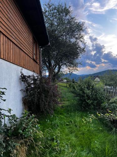 a house with a tree in the grass next to a building at Dom Ponad Wsią in Zawoja