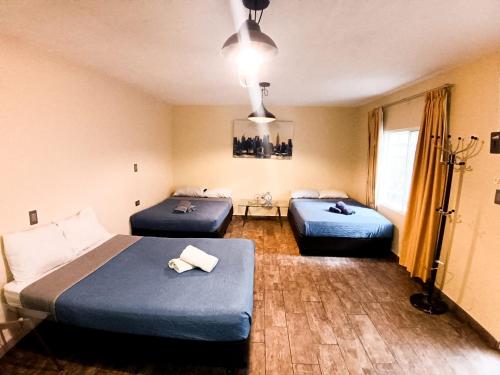 two beds in a room with blue sheets at Stay6 Confort en Grupo Durango in Durango