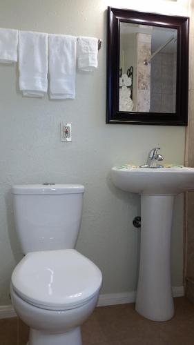 a bathroom with a white toilet and a sink at Trees Motel in Bishop