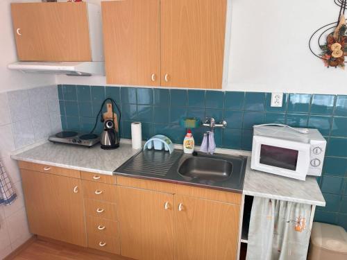 a kitchen counter with a sink and a microwave at Vila Šebest in Volary