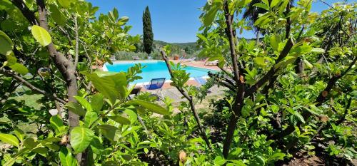a swimming pool through the trees in a resort at La Romita Ospitalità Rurale Familiare in Montisi