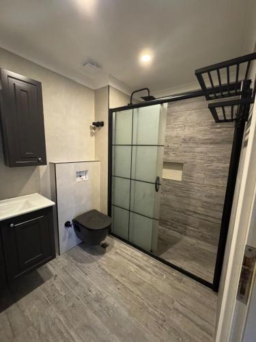 a bathroom with a toilet and a glass shower at Anastasia Apartments in Kargicak
