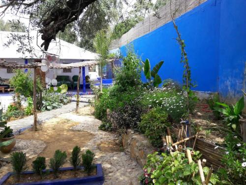 a garden with plants and a blue wall at DAR Aurora in El Hamar