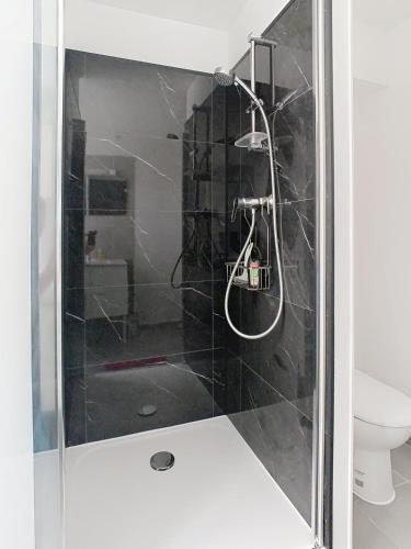 a shower with a glass door in a bathroom at Le Chatoyant, sur l'île de Melun in Melun
