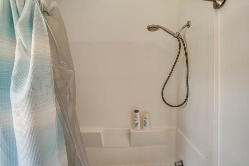 a shower with a shower curtain in a bathroom at Family Home with Outdoor Oasis in Hudson Valley in High Falls