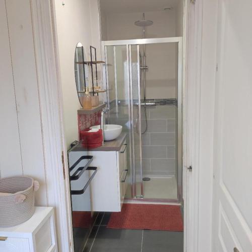 a bathroom with a shower and a sink at L'Ambréenne in Sainte-Cécile