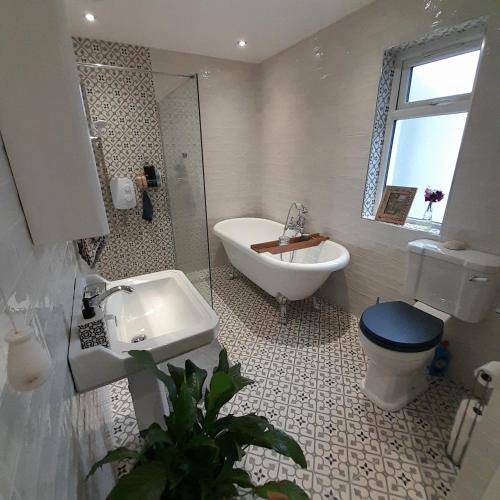a bathroom with a toilet and a tub and a sink at Forest view in Ballycassidy