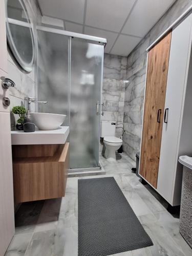 a bathroom with a shower and a sink and a toilet at Premium Central Skopje Apartments & Free Private Parking in Skopje