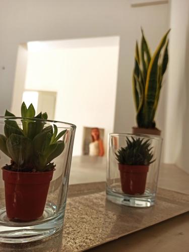 two glass vases with plants in them on a table at CALEO Guest House in Taurisano