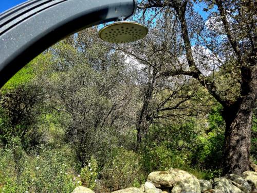a rear view mirror of a car looking at a frisbee at GITES O FIL DE L'EAU piscine spa accès rivière in Omessa