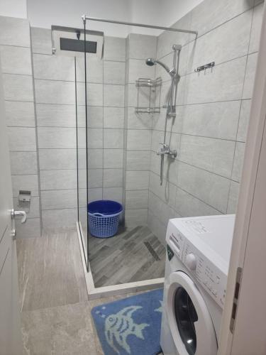 a shower with a washing machine in a bathroom at Roan's apartament in Golem