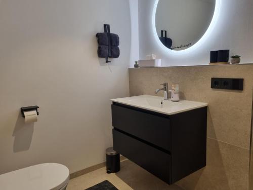 a bathroom with a sink and a toilet and a mirror at Hideaway Eyb in Ansbach