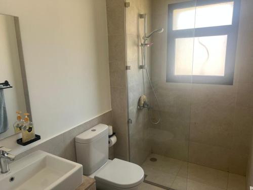 une salle de bains avec douche, toilettes et lavabo dans l'établissement Swan lake north coast magical stay, à Zāwiyat al ‘Awwāmah