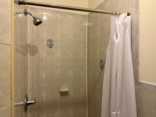 a bathroom with a shower with a shower curtain at Great! Private NYC Room in Sunnyside in Haberman