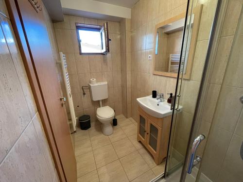 a bathroom with a toilet and a sink and a shower at Casa Bianca in Băile Herculane