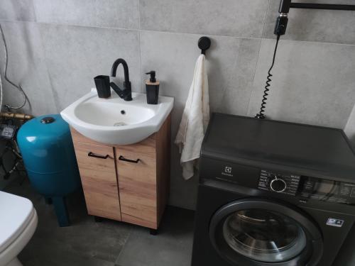 a bathroom with a washing machine and a sink at Altana Kasztelana - Domek Letniskowy z tarasem i jacuzzi nad Dunajcem Velo in Wojnicz