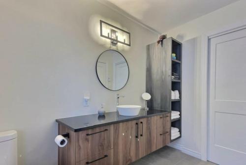 a bathroom with a sink and a mirror at Le Carpe Diem in Pont-Rouge