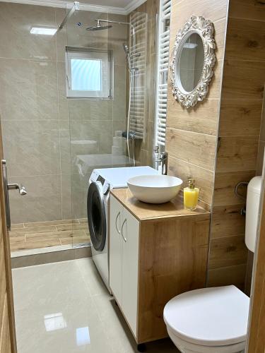 a bathroom with a sink and a washing machine at Luxury Apartment in Făgăraş
