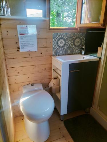 a small bathroom with a toilet and a sink at La roulotte de Jane in Margon