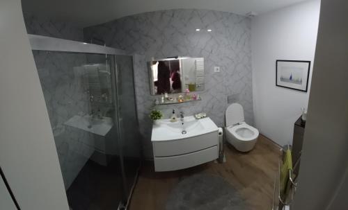 a bathroom with a sink and a toilet and a shower at Casa Oliveira in Barreiros