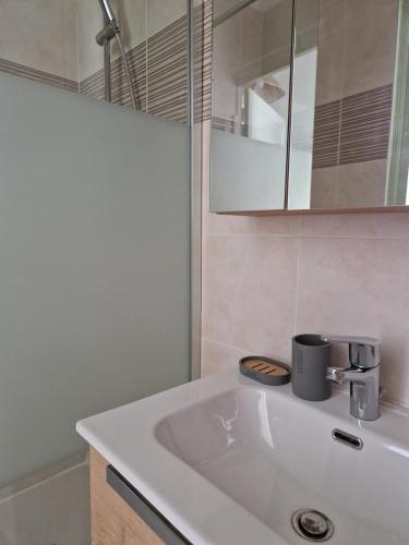 a bathroom with a white sink and a mirror at Beau T3 avec grande terrasse centre Alès in Alès