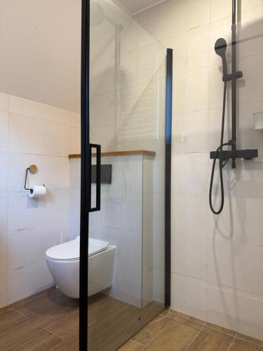 a bathroom with a toilet and a shower at Julianowe Wzgórze in Czchów