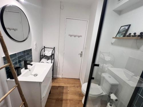 サン・シプリアン・プラージュにあるLe perroquetの洗面台、トイレ、鏡のあるバスルーム