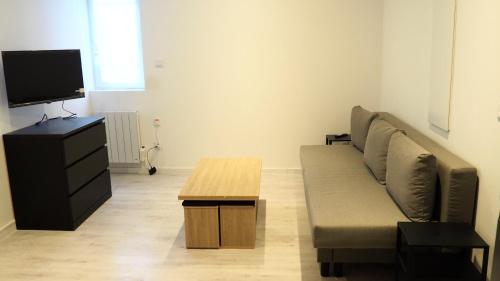 a living room with a couch and a tv at Résidence Coeur de Lourdes in Lourdes