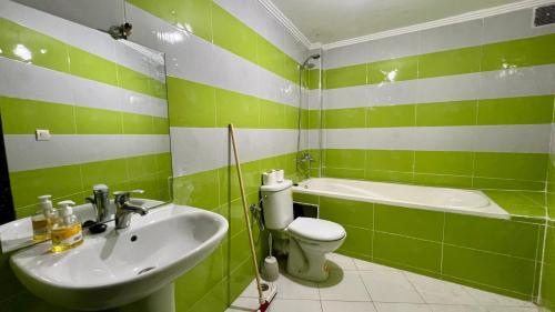 フェズにあるResidence Nasr Fes - Family & Traveler Apartmentsの緑と白のバスルーム(洗面台、トイレ付)