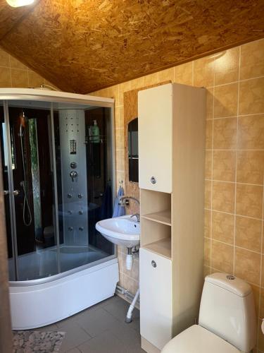ベルナーティにあるSummer holiday house Vizuliの洗面台、シャワー、トイレ付きのバスルーム