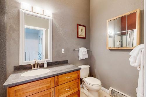 a bathroom with a sink and a toilet and a mirror at Brighton Condo #209 in Girdwood