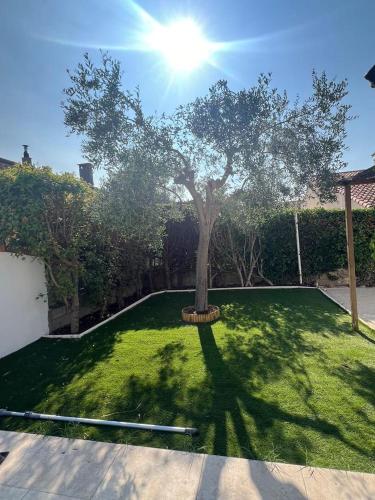 Κήπος έξω από το Maison NADIA