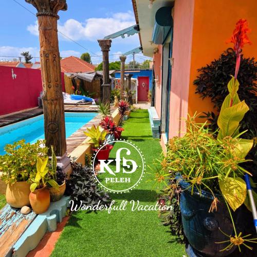 a villa with a garden and a swimming pool at MARRAKECH פלא - PELEH - Queit place 3 km from the beach of Cesarea in Or ‘Aqīvāh