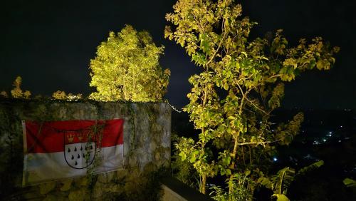a flag on a wall next to a tree at Wonogiri Rocks in Tempuran