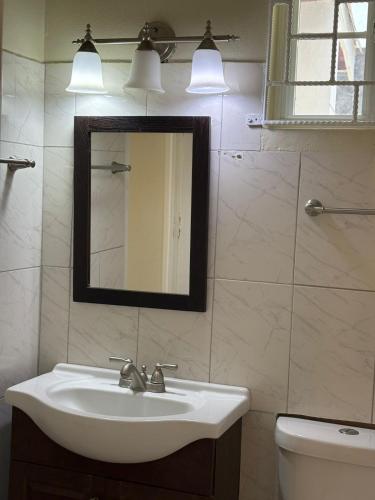 a bathroom with a sink and a mirror and a toilet at Patch&Porch Cottage in Port Antonio