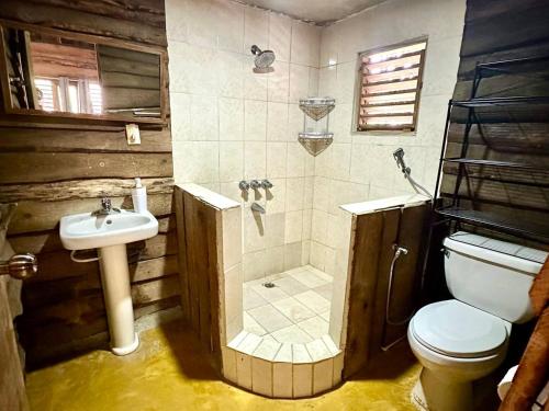 a bathroom with a shower and a toilet and a sink at 3BR Riverside Secret Retreat in Jarabacoa