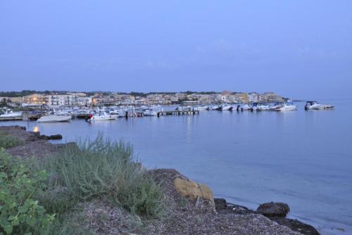 Φυσικό τοπίο κοντά σε αυτό το διαμέρισμα