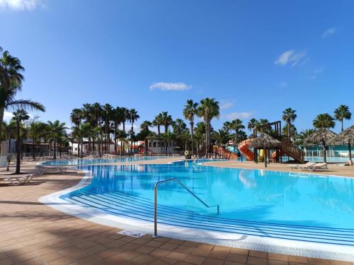 una piscina en un resort con palmeras en Casa Olivia Oasis Duna, en Corralejo