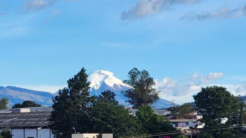 a view of a snow covered mountain with trees at La Cuadra - Hospedaje en Puembo in Puembo