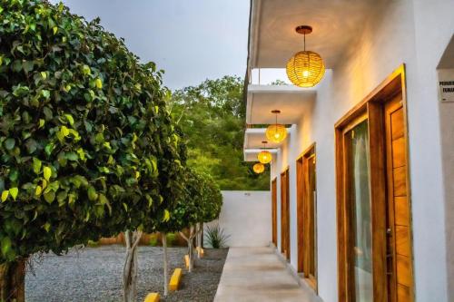a hallway of a house with trees and lights at HOTEL CASA VICTORIA in Zihuatanejo